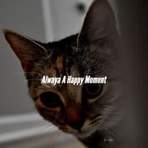 Alwaya A Happy Moment - French Cafe Jazz Chill