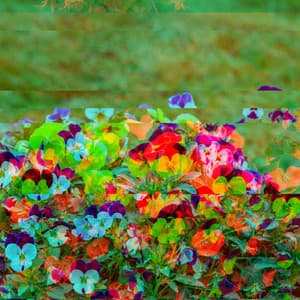 Divine Ambiance for Studying Legends - Brazilian Jazz Deluxe