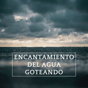 Encantamiento Del Agua Goteando - Sonidos de lluvia ASMR