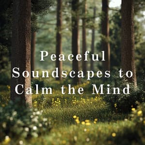 Peaceful Soundscapes to Calm the Mind - Dream House