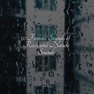 50 Famous Sounds of Rain and Nature Sounds - Oasis de Détente et Relaxation