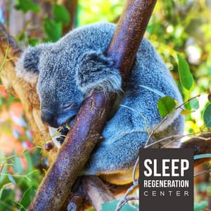 Sleep Regeneration Center - Deep Sleep Maestro Sounds