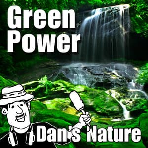 Green Power - Dan's Nature