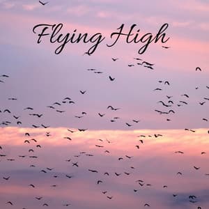 Flying High - Serenity of Sound
