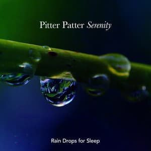 Pitter Patter Serenity - Rain Drops for Sleep