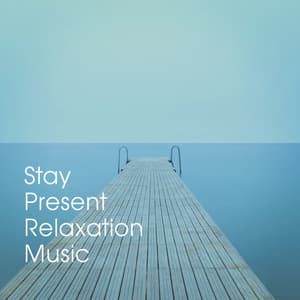 Stay Present Relaxation Music - Oasis de Détente et Relaxation