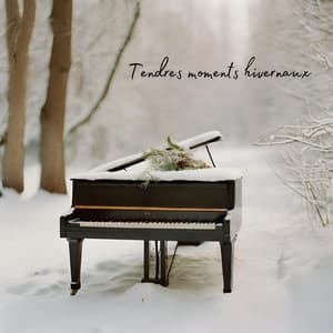 Tendres moments hivernaux: Musique de piano et amitié, Café et compagnie - French Piano Jazz Music Oasis