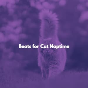Beats for Cat Naptime - Airport Lounge Jazz Playlist