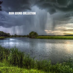 Rain Sound Collection - Rain for Deep Sleep