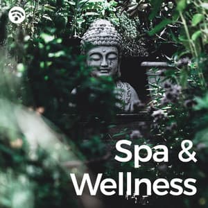 Spa & Wellness - SPA & Wellness Massage Masters
