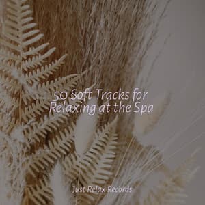 50 Soft Tracks for Relaxing at the Spa - Musica Reiki
