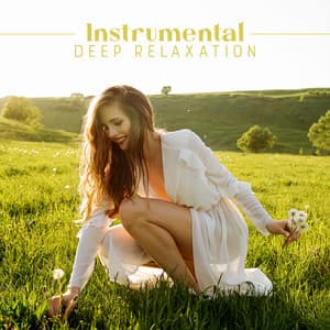 Instrumental Deep Relaxation: Healthy Sleep, Stress Reduction, Relaxation Music - Zen Relaxation Academy