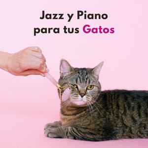Jazz Y Piano Para Tus Gatos - Barra de jazz con piano