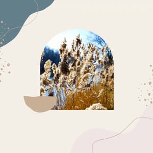 Awesome - Self Care Days - Playlist Música para Dormir