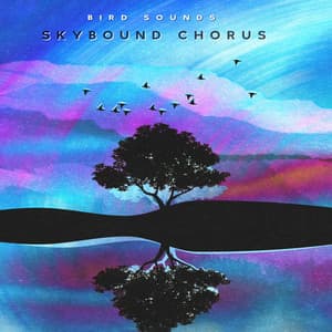 Skybound Chorus - Bird Sounds