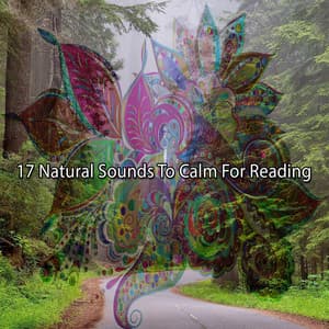 17 Natural Sounds To Calm For Reading - Sleep Songs with Nature Sounds