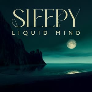 Sleepy Liquid Mind - Calm Music Zone
