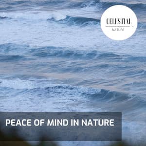 Peace of Mind in Nature - Nature Radiance