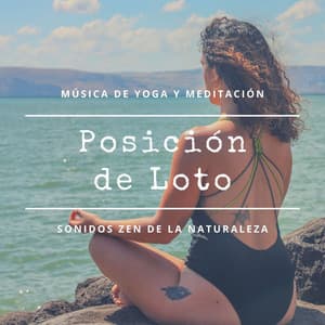 Posición de Loto: Música de Yoga y Meditación, Sonidos Zen de la Naturaleza - Flor de Loto