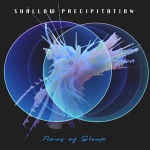 Shallow Precipitation - Flows of Sleep