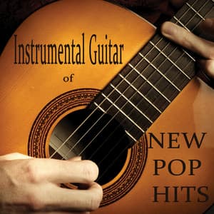 Instrumental Guitar of New Pop Hits - Steve Petrunak