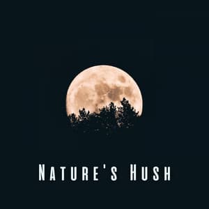 Nature's Hush: Binaural Sounds for Baby's Peaceful Dreams - The Nature Project