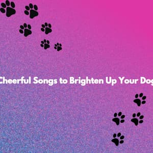 Cheerful Songs to Brighten Up Your Dog - Acoustic Study Music