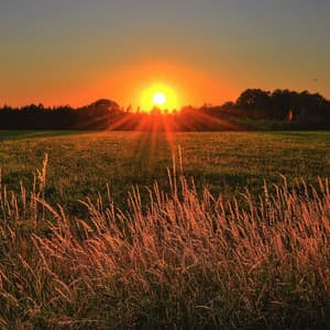 Insomnie Aide Repos Sommeil Bruit - Relaxation naturelle du bruit blanc