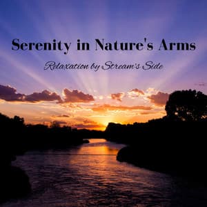 Serenity in Nature's Arms: Relaxation by Stream's Side - JBE Nature Sounds