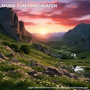 Musik zum Einschlafen gegen Gedankenkreisen sowie Entspannungsmusik für jedes Alter - Entspannungsmusik