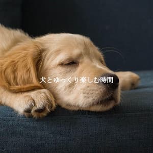 犬とゆっくり楽しむ時間 - Musica Rilassante & Benessere