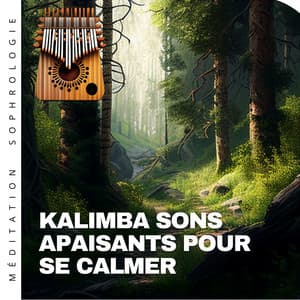 Kalimba sons apaisants pour se calmer - Méditation Sophrologie
