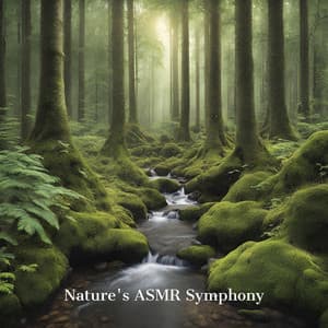 Nature's ASMR Symphony: Discover Tranquility through Forest Rustles to Stream Whispers - ASMR Zone