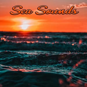 Relaxing Sea Sounds - Spa Relaxing Music