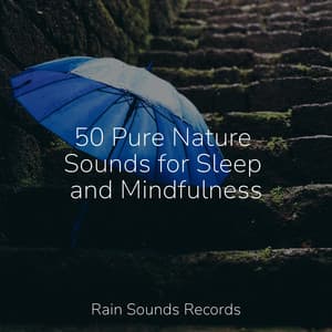 50 Pure Nature Sounds for Sleep and Mindfulness - Guided Meditation