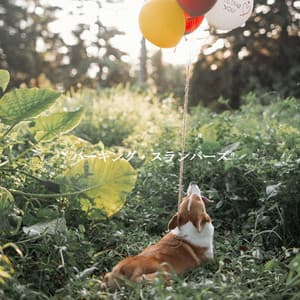 バーキング・スランバーズ - Upbeat Morning Music