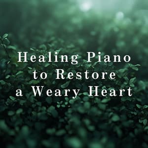 Healing Piano to Restore a Weary Heart - Relaxing BGM Project