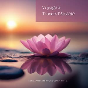Voyage à Travers l'Anxiété: Sons Apaisants pour l’Esprit Agité - Concentration Memoire