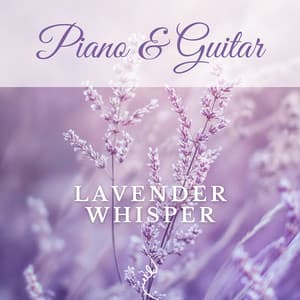 Lavender Whisper - Piano & Guitar