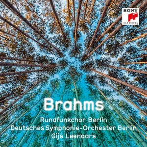 Brahms - Johannes Brahms