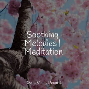 Soothing Melodies | Meditation - Yoga Rain