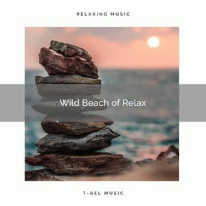 ! ! ! ! ! ! ! ! ! ! Wild Beach of Relax - Ocean Waves For Sleep