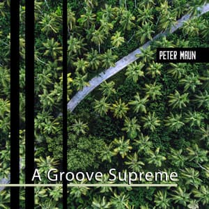 A Groove Supreme - Peter Maun