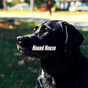Hound House - Dog Jazz Music