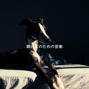 眠い犬のための音楽 - Morgen Jazz
