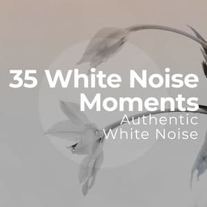 35 White Noise Moments - Authentic White Noise