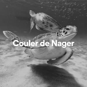 Couler de nager - Vagues De L'Ocean
