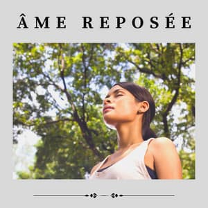 Âme Reposée - Zen Ambiance D'eau Calme