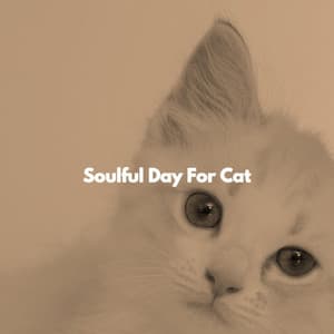 Soulful Day For Cat - Norway Jazz Norge