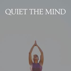 Quiet the Mind - Soothing Chill Out for Insomnia